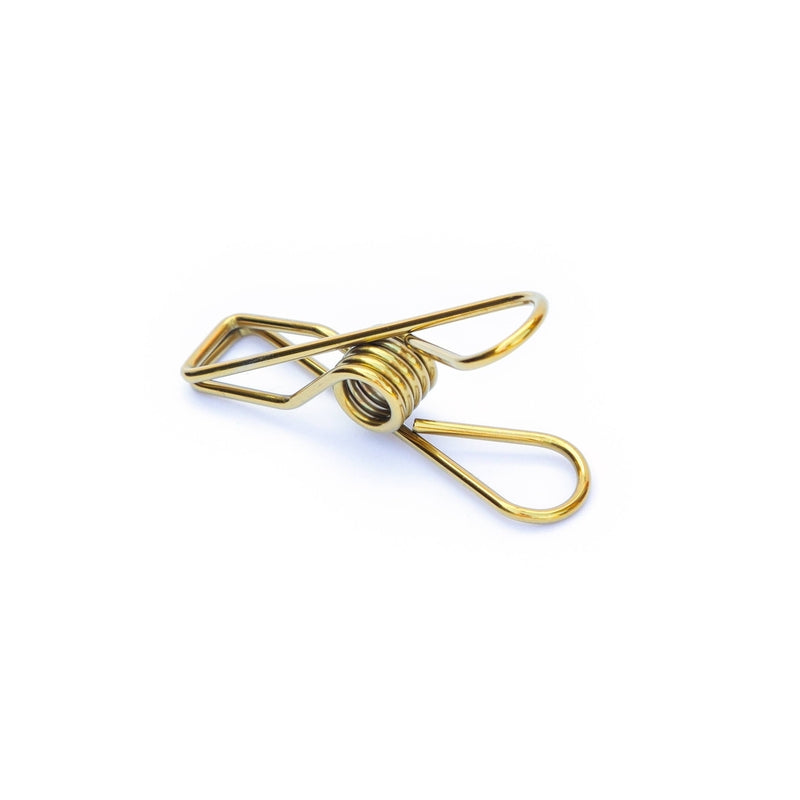 Stainless Steel Clothes Pegs Gold (20pcs)