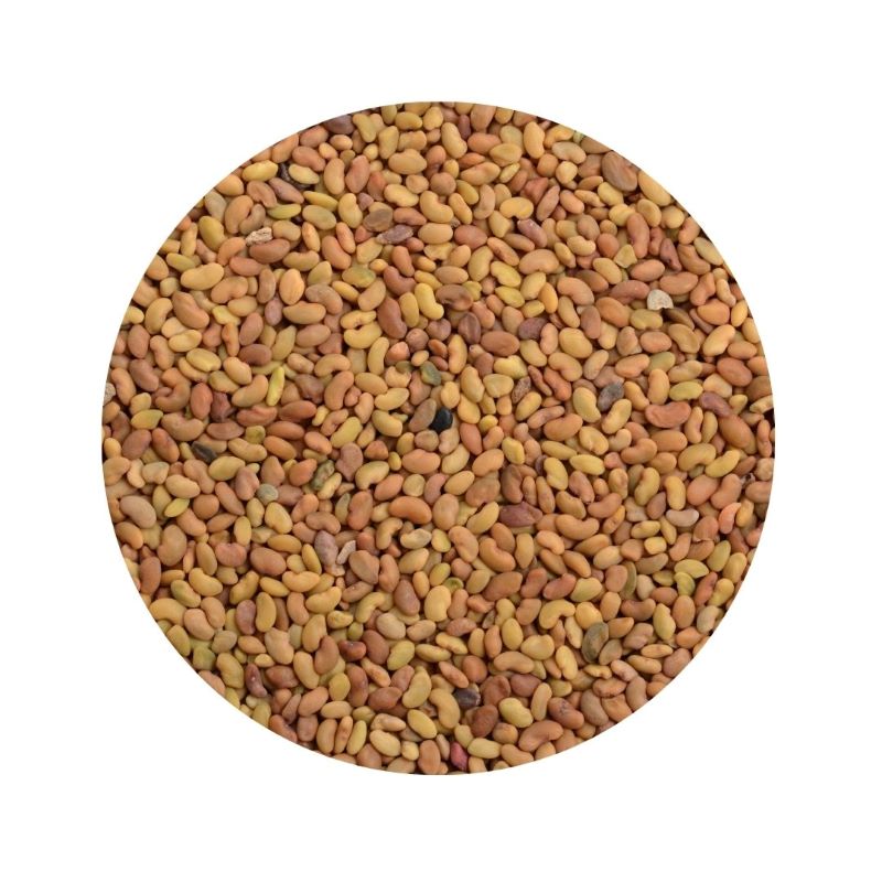 Sprouting Alfalfa Seeds ORGANIC (per 100g)