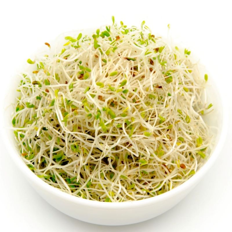 Sprouting Alfalfa Seeds ORGANIC (per 100g)