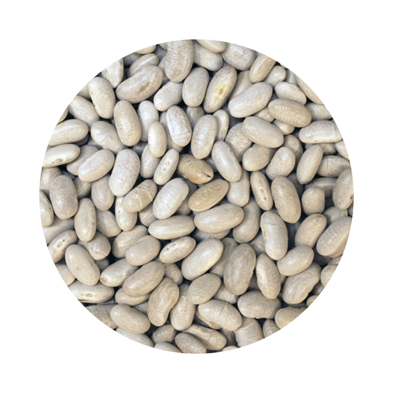 Close-up view of Cannellini Beans ORGANIC (per 500g) showing natural texture and color of the beans.