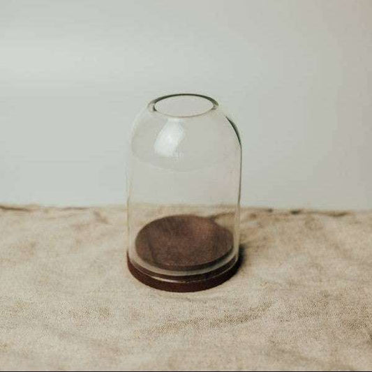Clear glass dome with wooden base on a textured surface