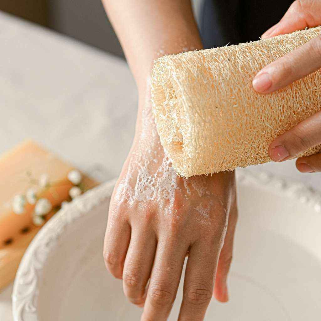 Natural Loofah | Organic | Exfoliating Sponge