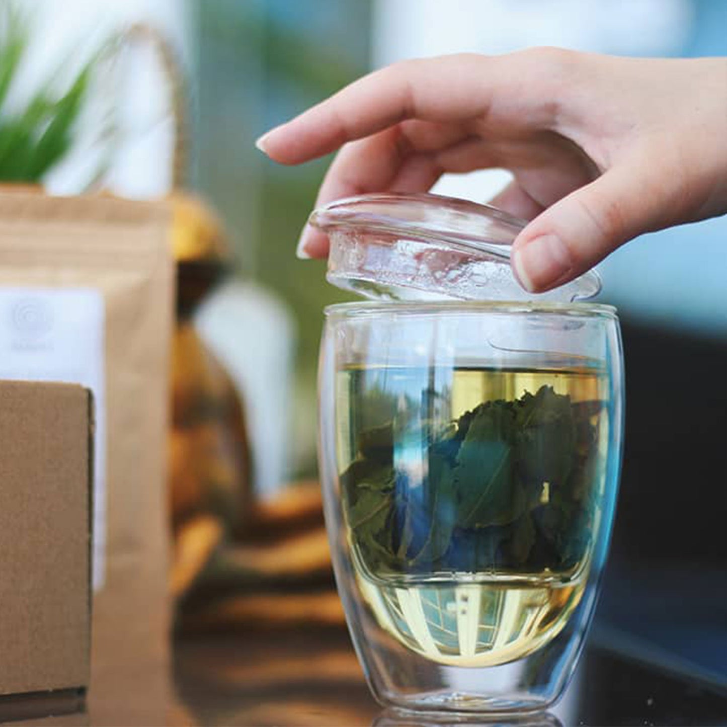 Loose leaf tea infuser glass (350ml)