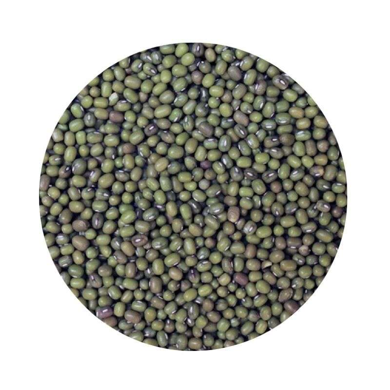 Close-up of green mung beans for Mung Beans ORGANIC (per 500g) highlighting natural and organic food qualities.