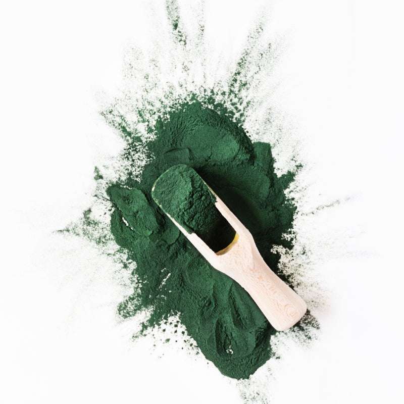 Spirulina ORGANIC (per 100g) green powder with wooden scoop, natural plant-based ethical and sustainable product