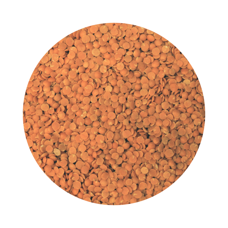 Close-up view of Red Split Lentils ORGANIC (per 500g) showing natural, plant-based organic food for refill shop use