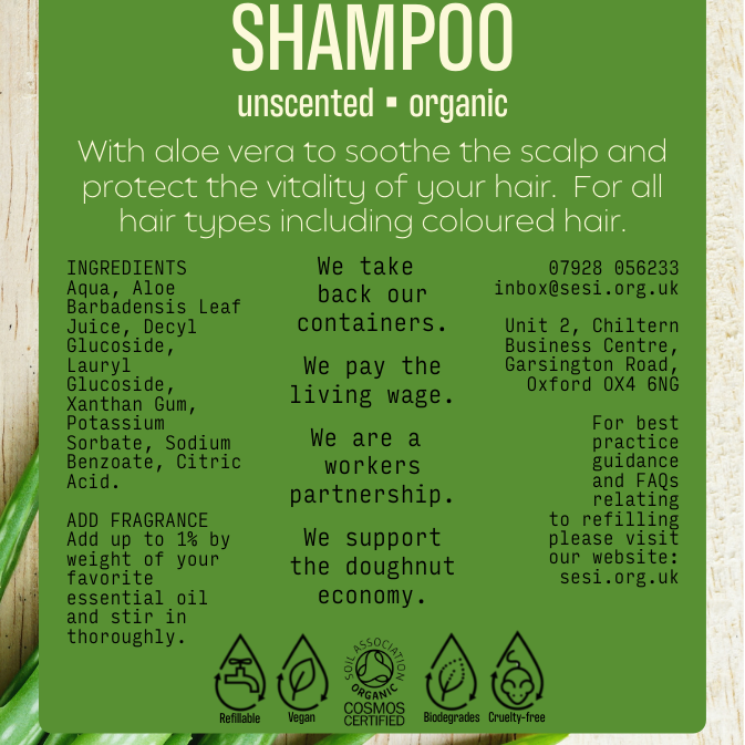 Organic Shampoo | Bulk | Unscented