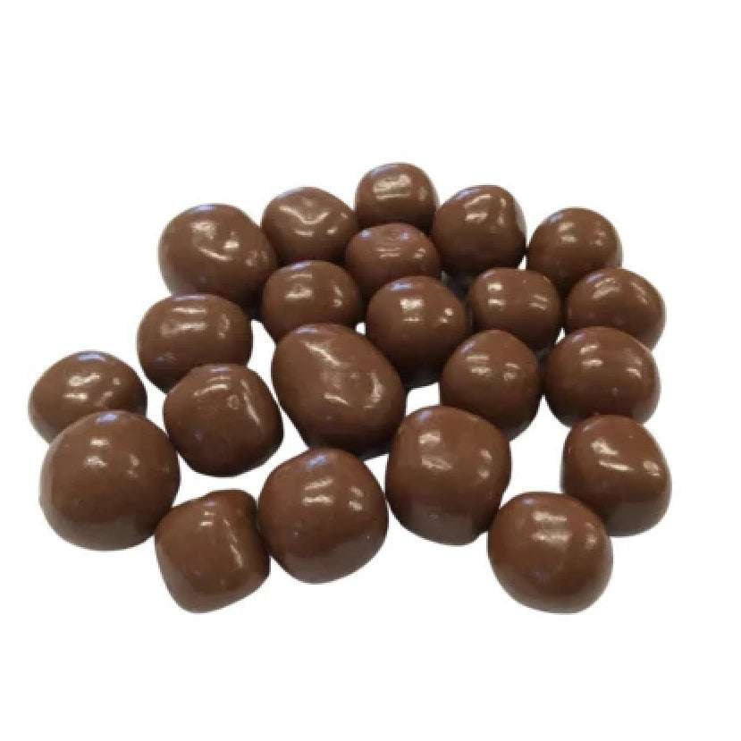 Chocolate-covered sea salt fudge on a white background