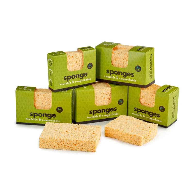 Packaging of sponges with green boxes on a white background
