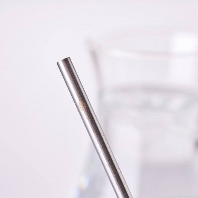 Stainless Steel Drinking Straws (singles)
