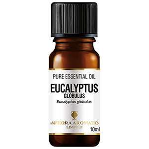 Bottle of ORGANIC Eucalyptus Essential Oil (10ml) with black cap and white label showing product details