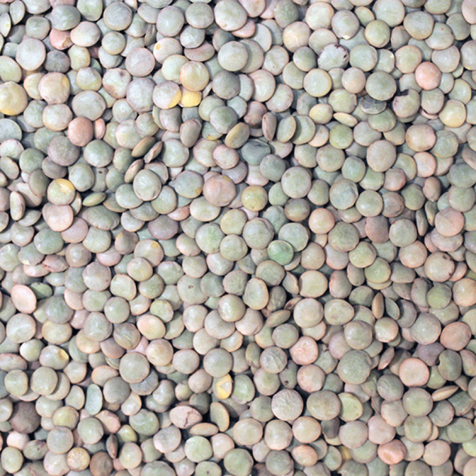 Green Lentils ORGANIC (per 500g)