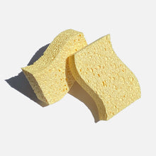 Load image into Gallery viewer, Biodegradable Kitchen Sponges - Pack of 2
