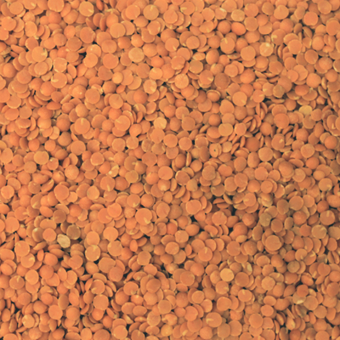 ESSENTIAL Red Split Lentils (per 500g)