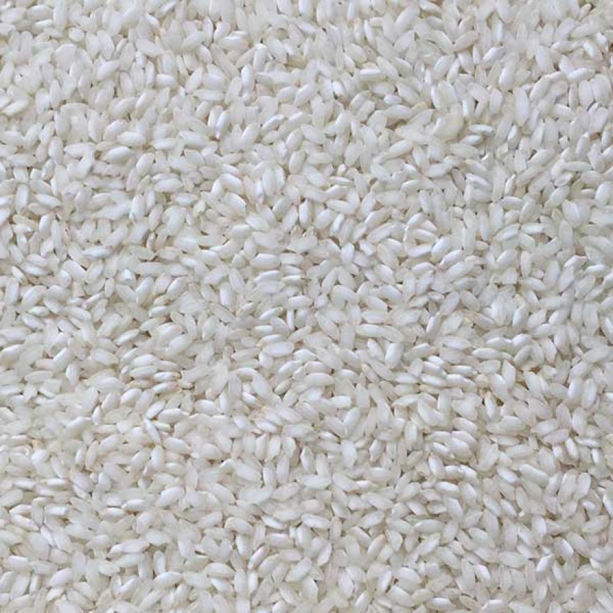 Risotto Rice (Arborio) ORGANIC (per 500g)