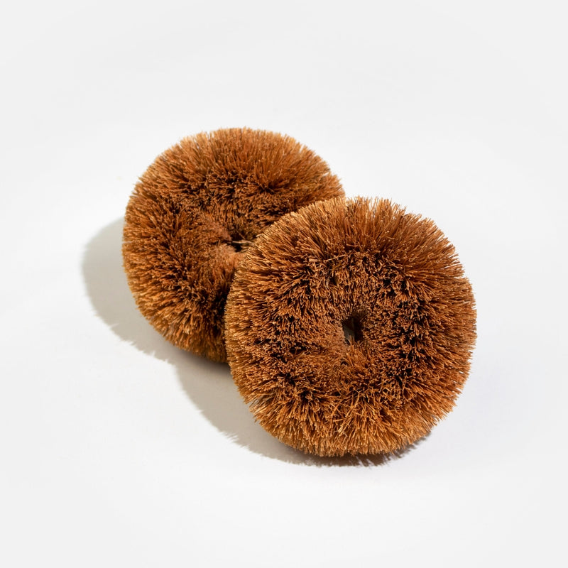 Kitchen Scourers (2pk)