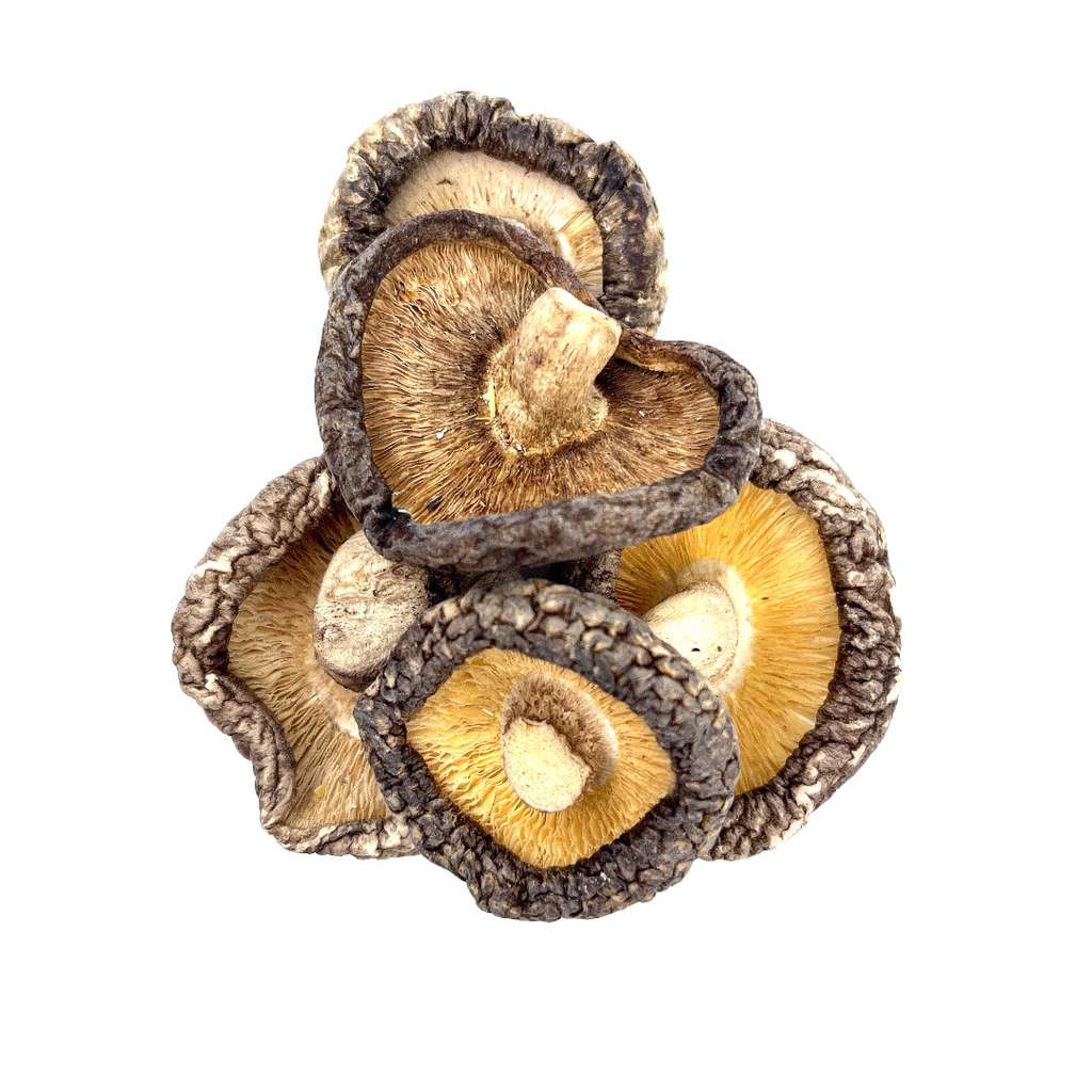 Dried Mushroom (per 100g)