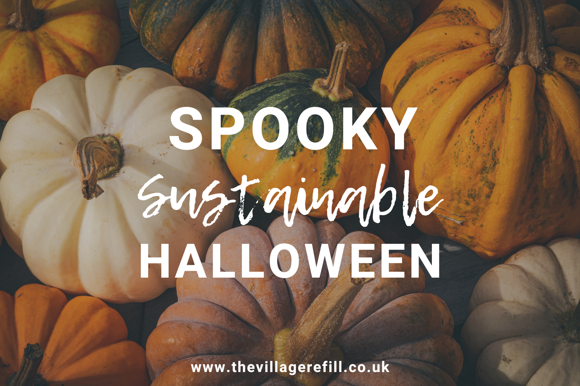 Sustainable Spooky Halloween: Eco-Friendly Decor and Tips for a Green ...