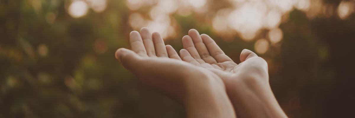 Hands + Nails
