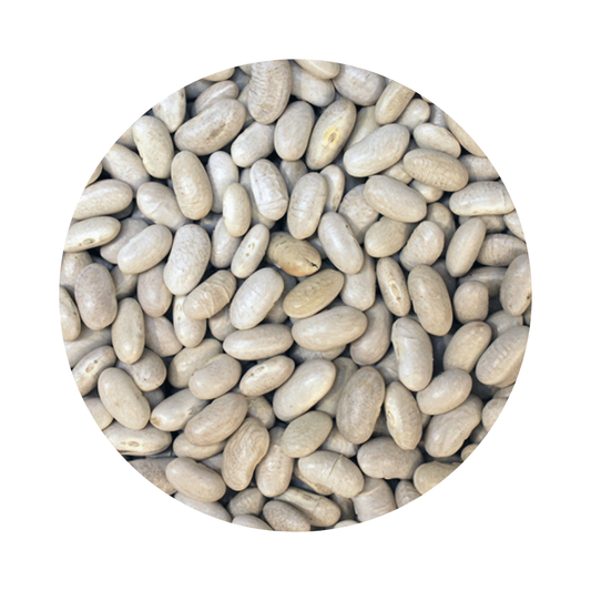 Cannellini Beans ORGANIC (per 500g)