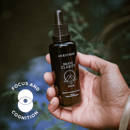 Clarity Mushroom Tincture (50ml) — Natural Herbal Support