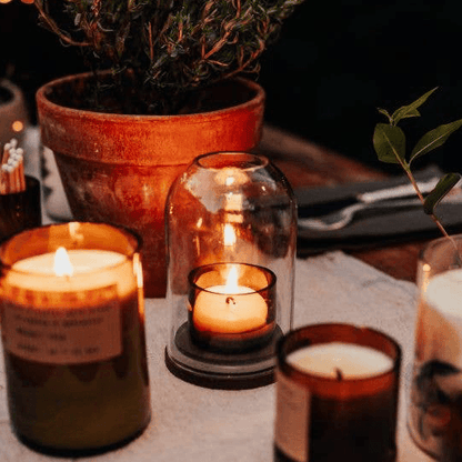 Candles in various holders on a table with a potted plant in the background