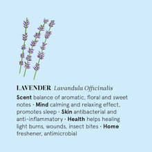 Load image into Gallery viewer, Lavender Pillow Mist (20ml)
