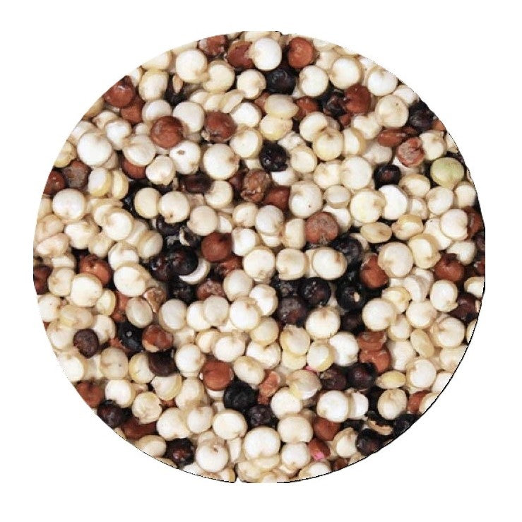 mixed white, brown, and black quinoa on a white background