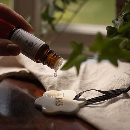Hand pouring essential oil onto a white stone with 'RHS' branding, surrounded by greenery.