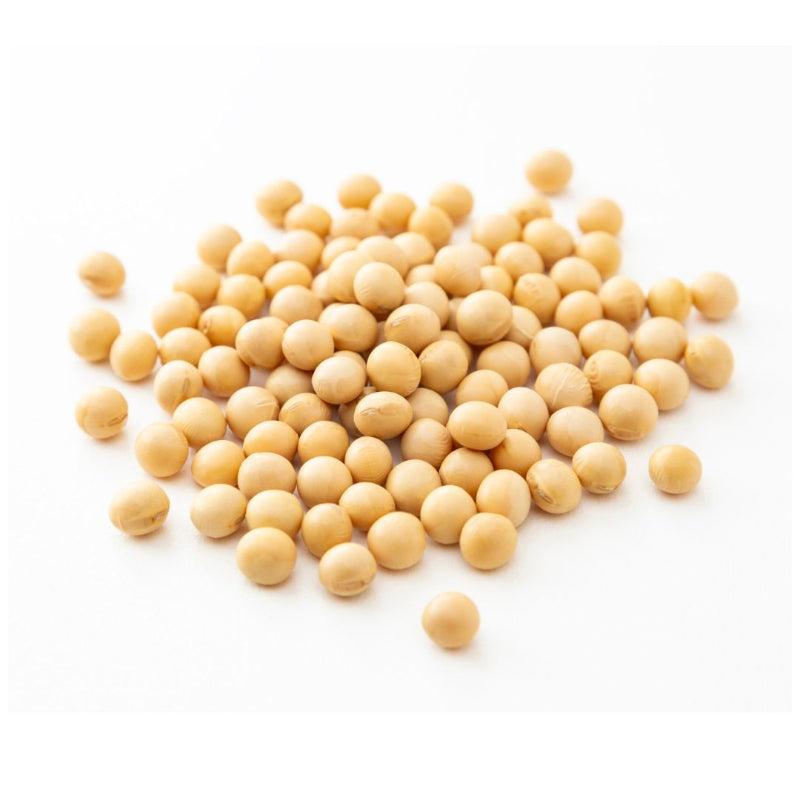 Close-up of light beige soya beans scattered on a white surface, representing Soya Beans ORGANIC (500g) natural food product