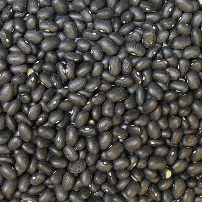 Black Turtle Beans ORGANIC (per 500g)
