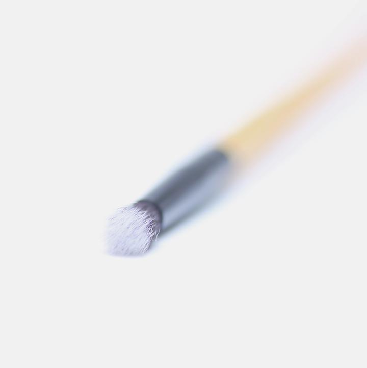 Detailing Brush