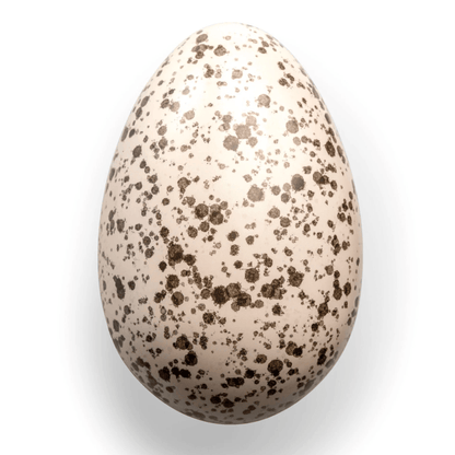 Refillable Easter Egg Tin with a speckled design, perfect for natural and plastic free household essentials.