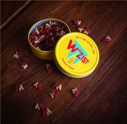 Vegan Natural Dog Treats (50g in tin)