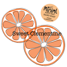 Load image into Gallery viewer, Sweet Clementine Anti-bacterial liquid hand soap
