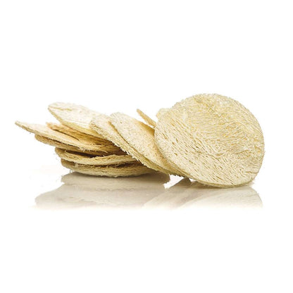Exfoliating Loofah Discs (x3)