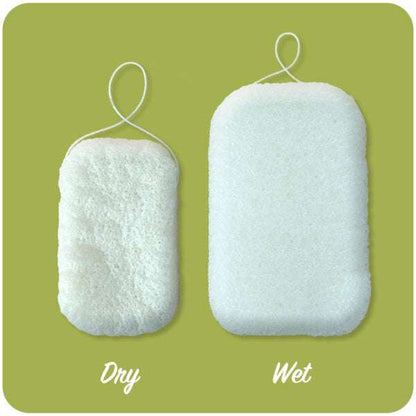 Konjac Body Sponge